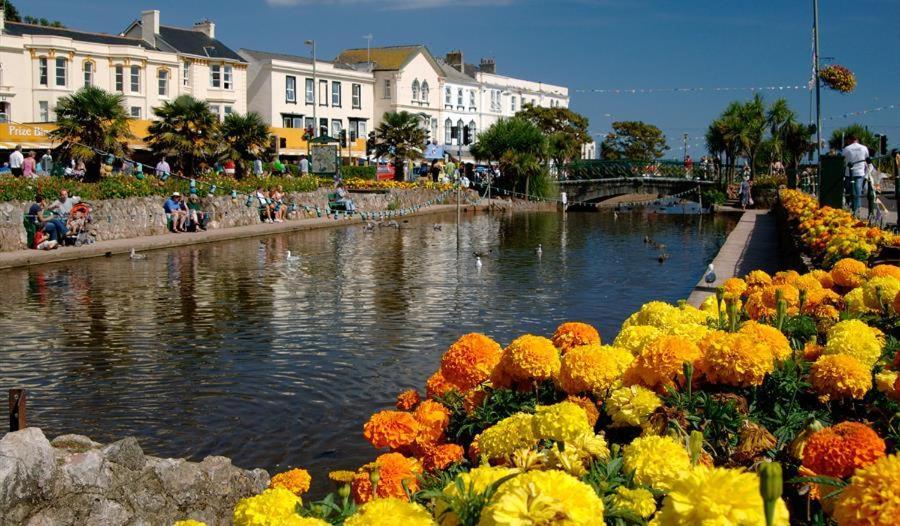 Dawlish Lawn View Apartment Bagian luar foto